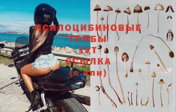 дживик Вязьма