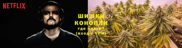 метадон Вяземский